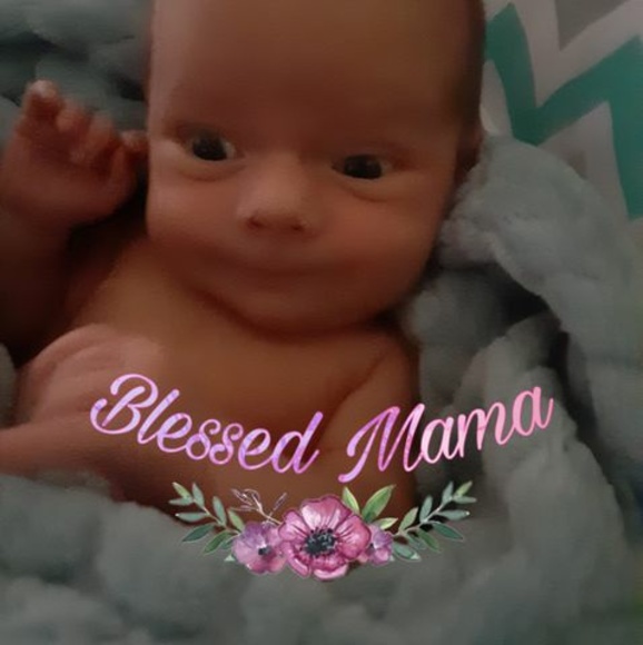 Meet your Posher, Kristen - Picture 1 of 1